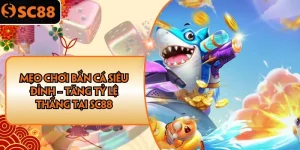 Ảnh đại diện mẹo chơi bắn cá siêu đỉnh