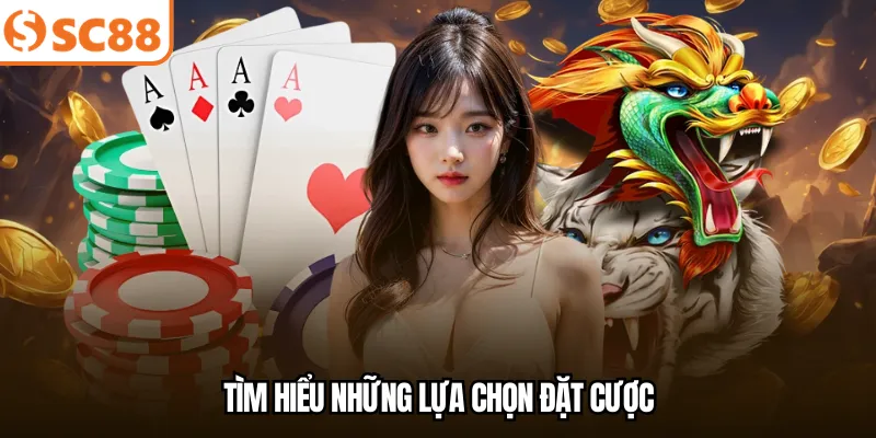 Tìm hiểu những lựa chọn đặt cược