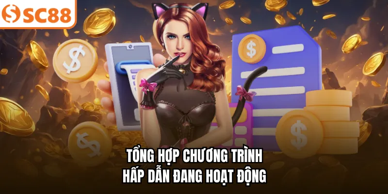 Tổng hợp chương trình hấp dẫn đang hoạt động 